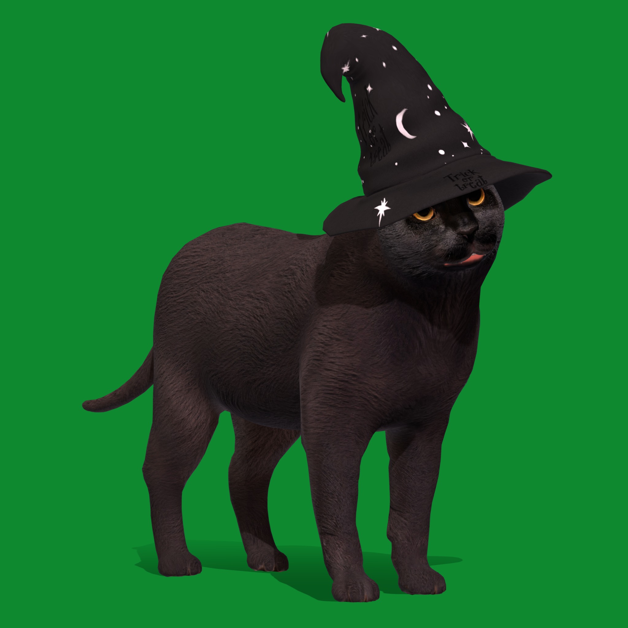 Halloween Black Cat Low-poly 3D model_15