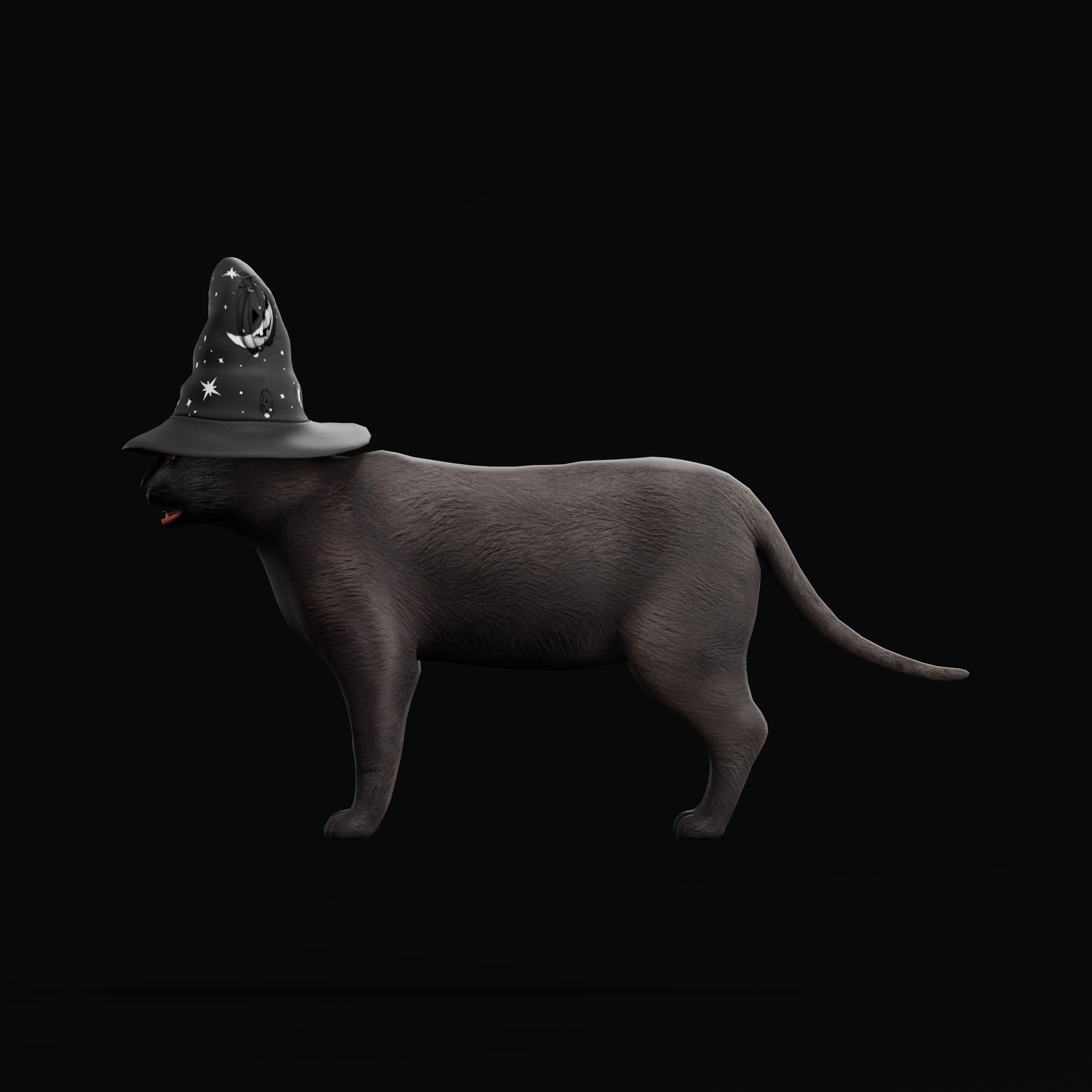 Halloween Black Cat Low-poly 3D model_39