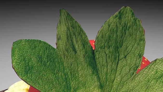 Brownie With Banana and Strawberries 3D model 5