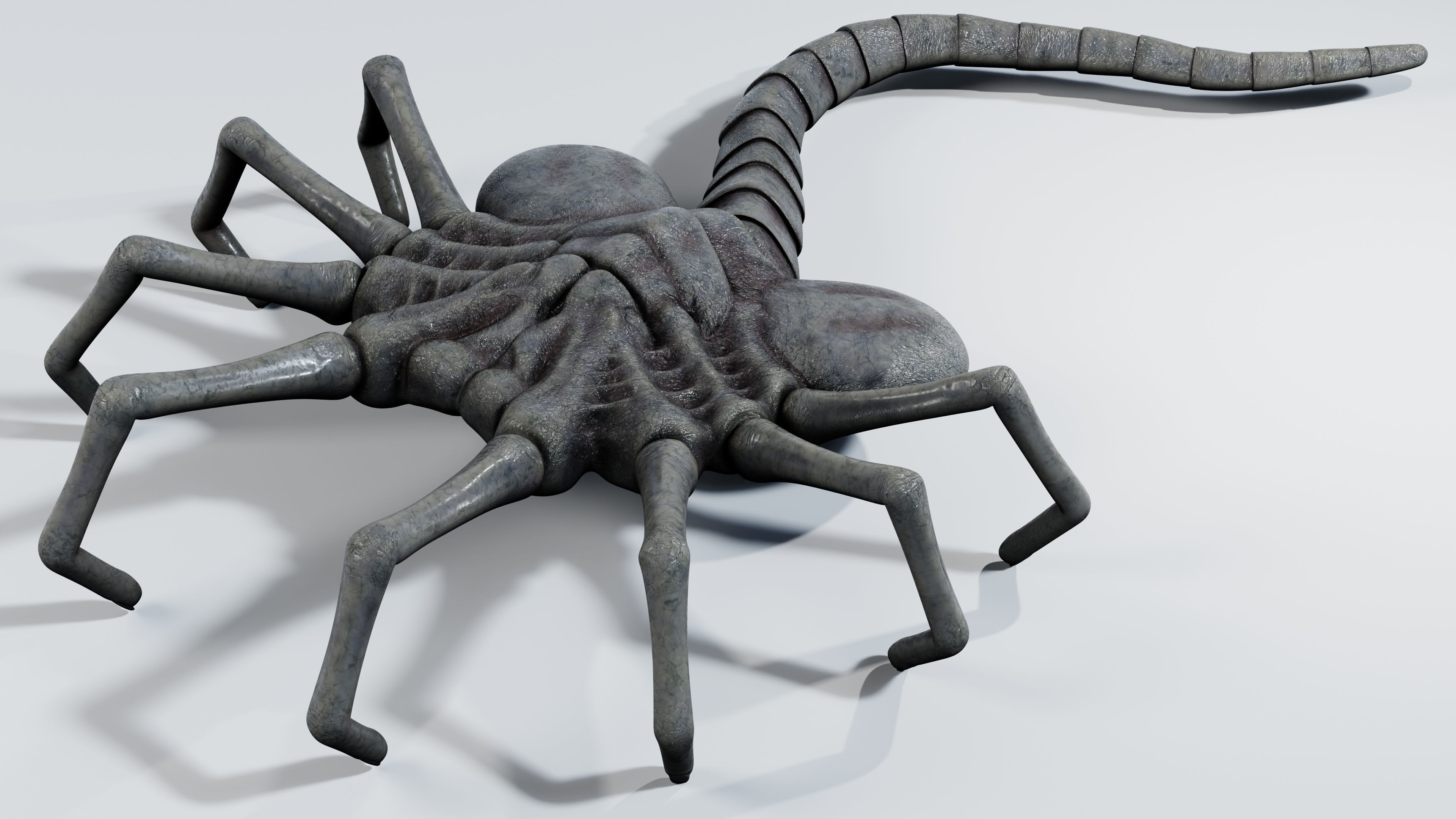 Facehugger rigged Low-poly 3D model_11