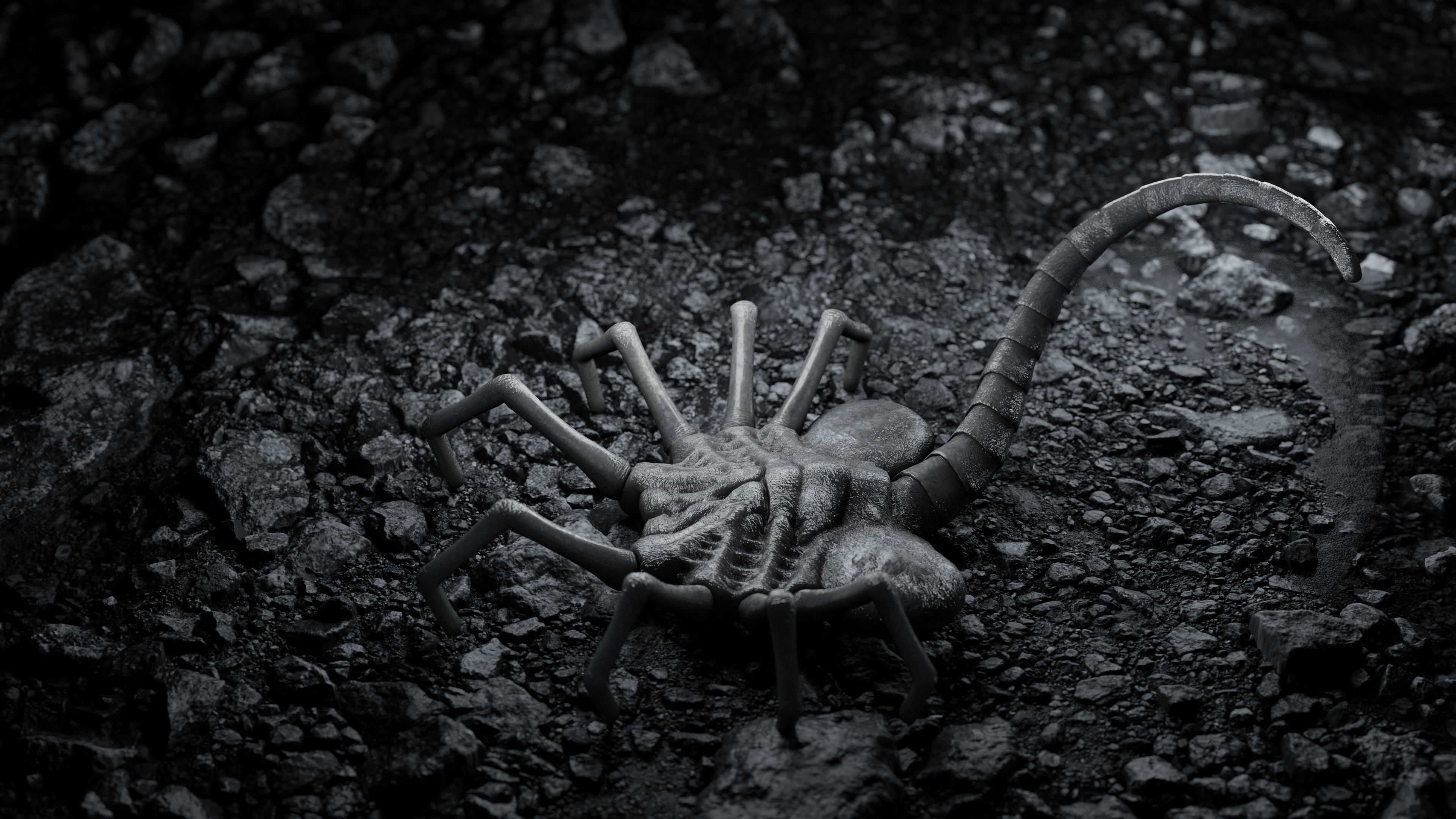 Facehugger rigged Low-poly 3D model_3