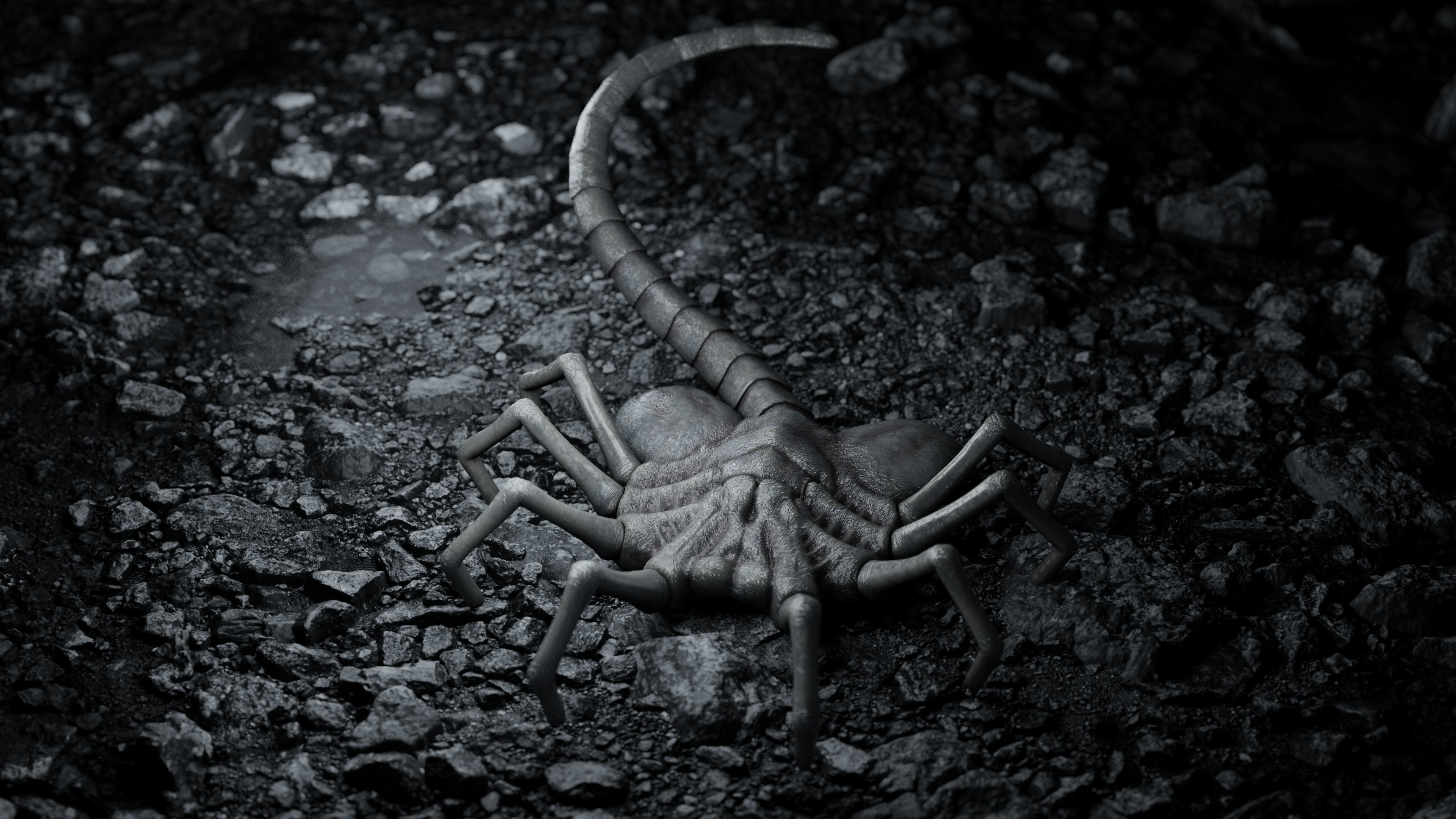 Facehugger rigged Low-poly 3D model_2