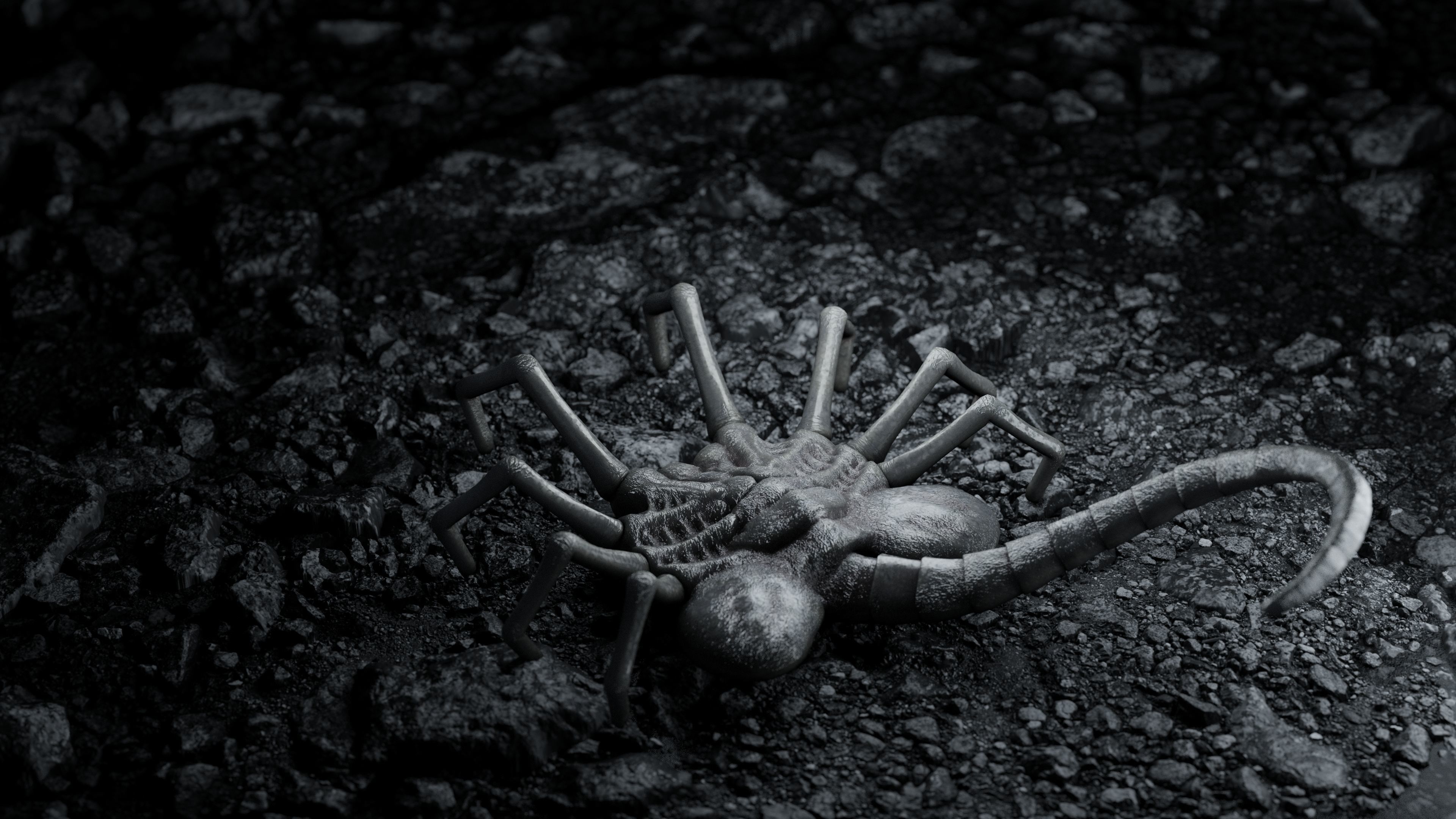 Facehugger rigged Low-poly 3D model_4