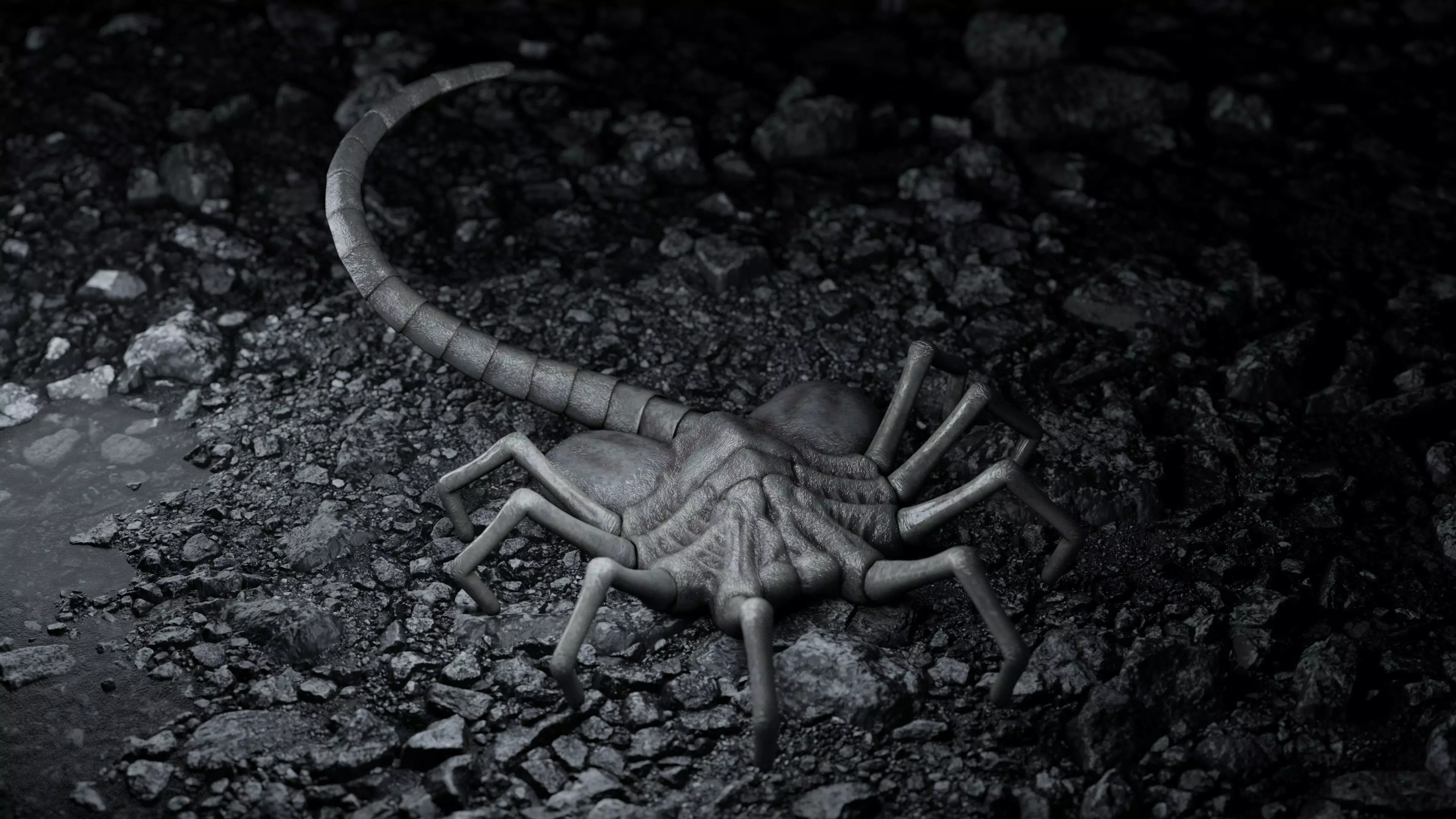 Facehugger rigged Low-poly 3D model_0