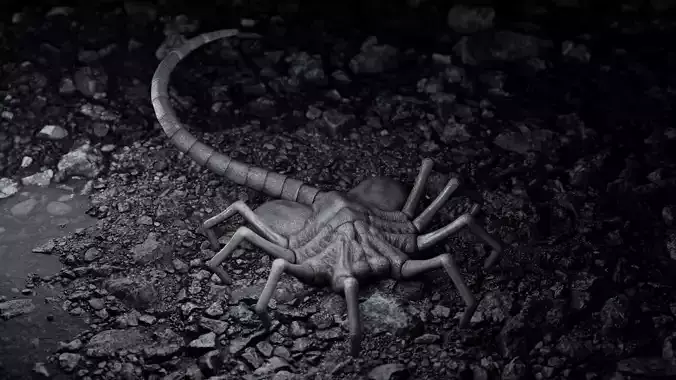 Facehugger rigged Low-poly 3D model