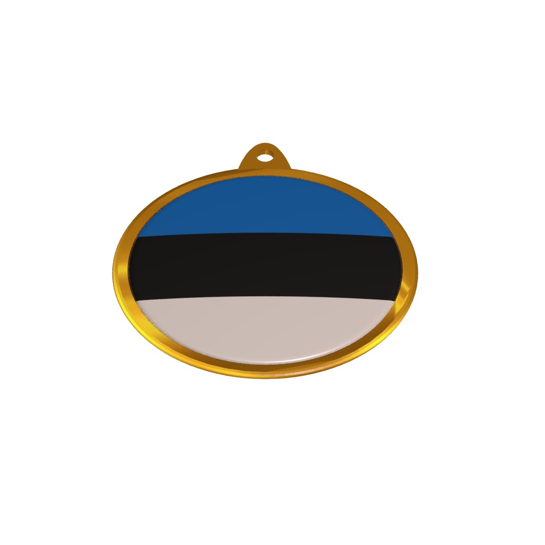 Estonia Flag Golden Medal Badge 3D model_11