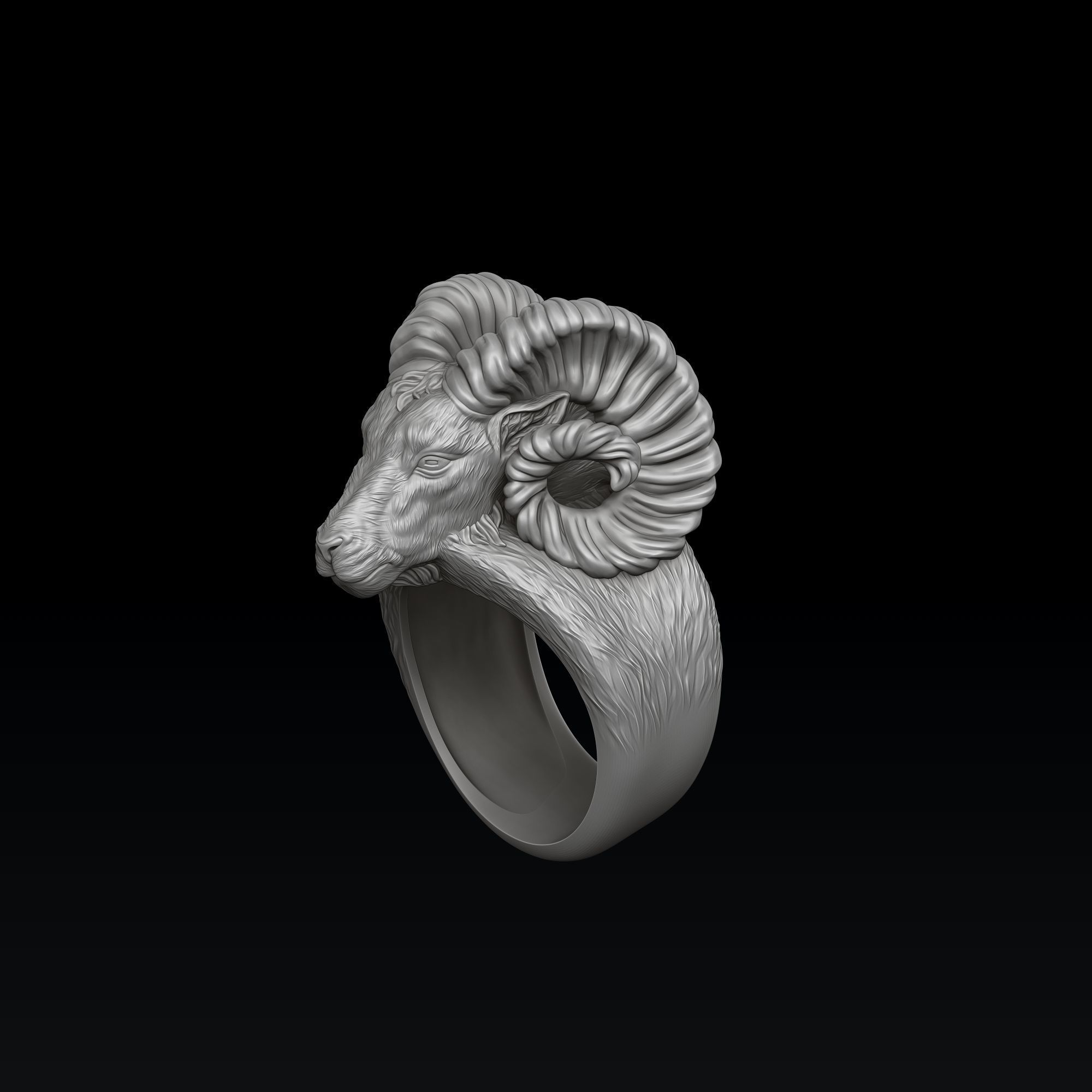 Aries Ring 3D print model_3