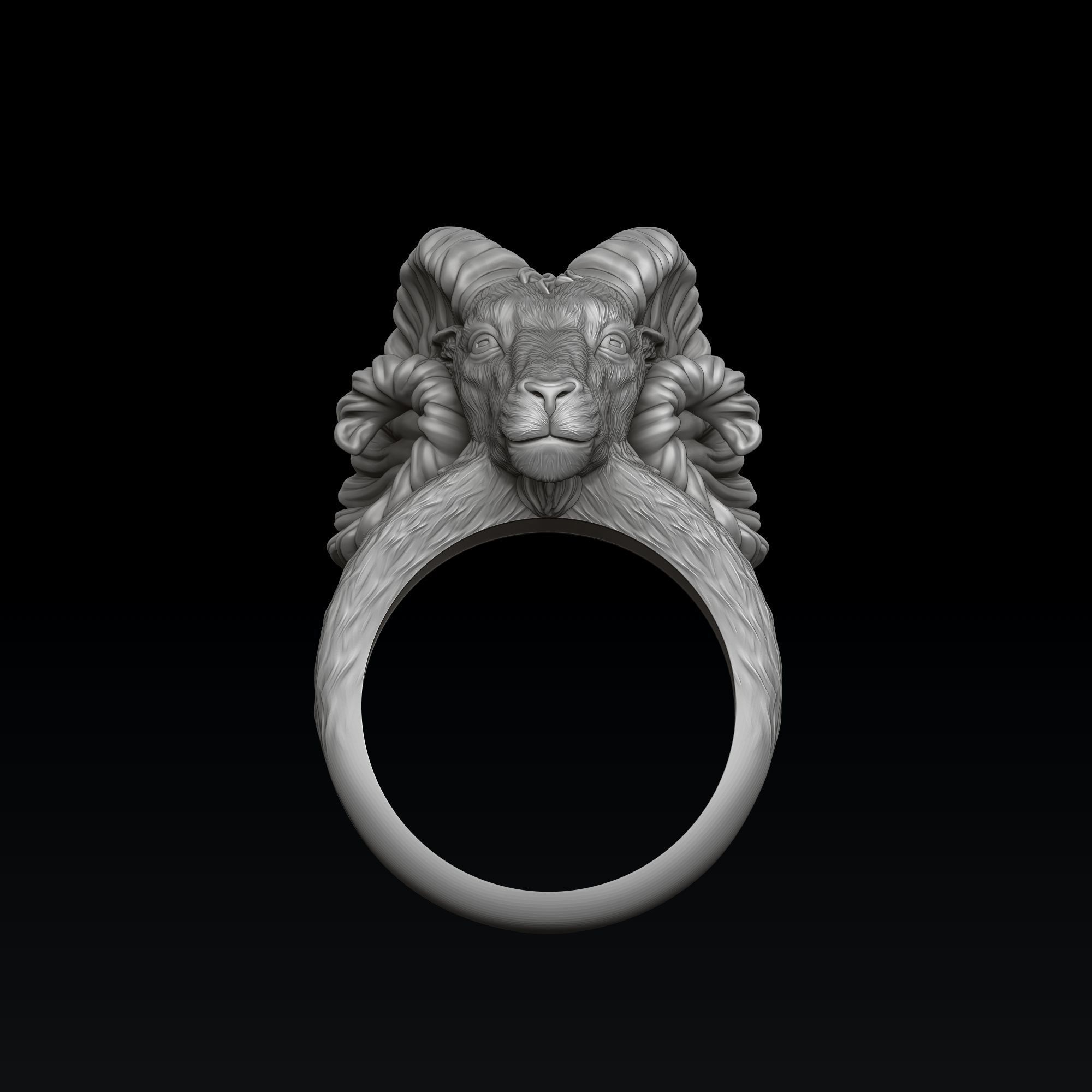 Aries Ring 3D print model_1