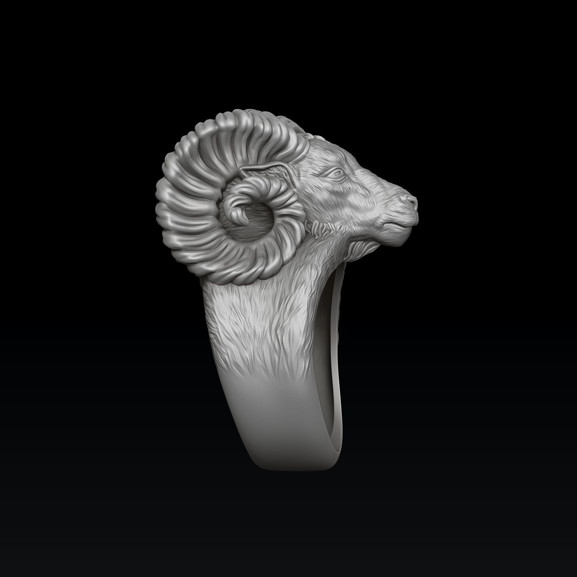 Aries Ring 3D print model_6