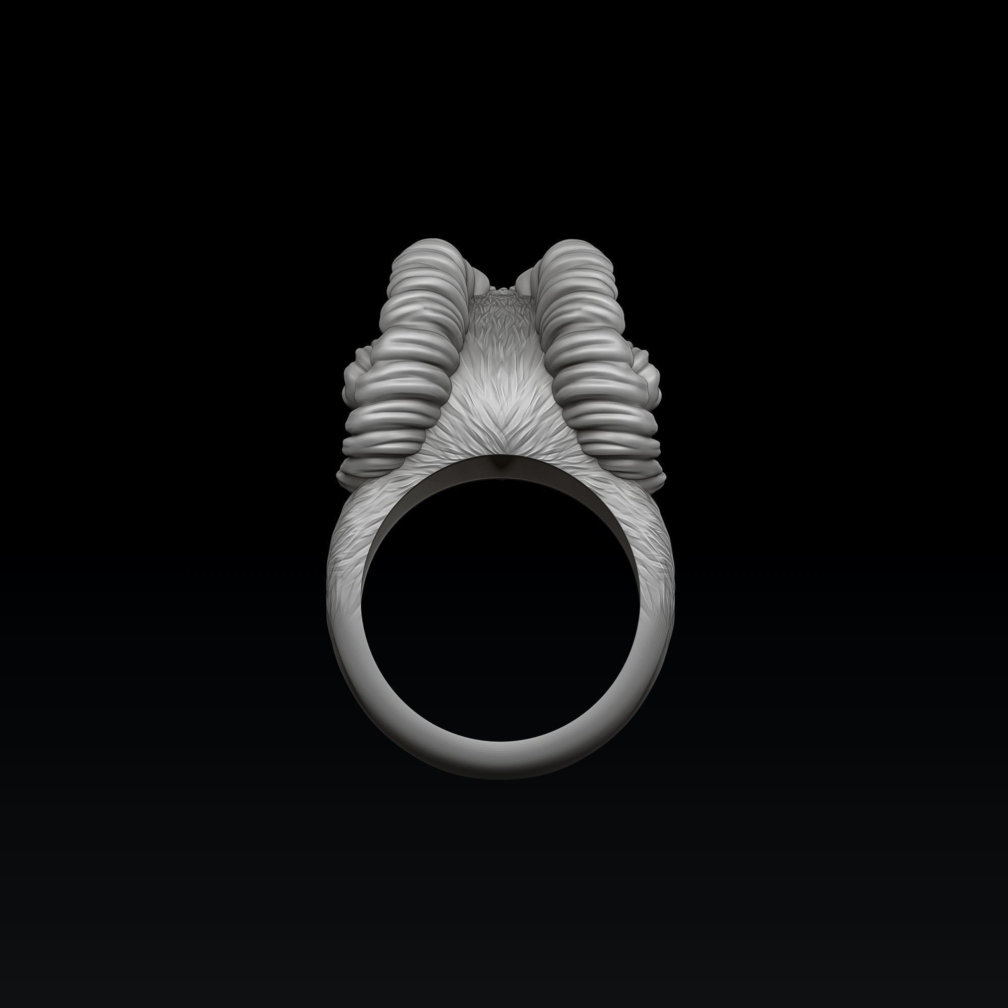Aries Ring 3D print model_5