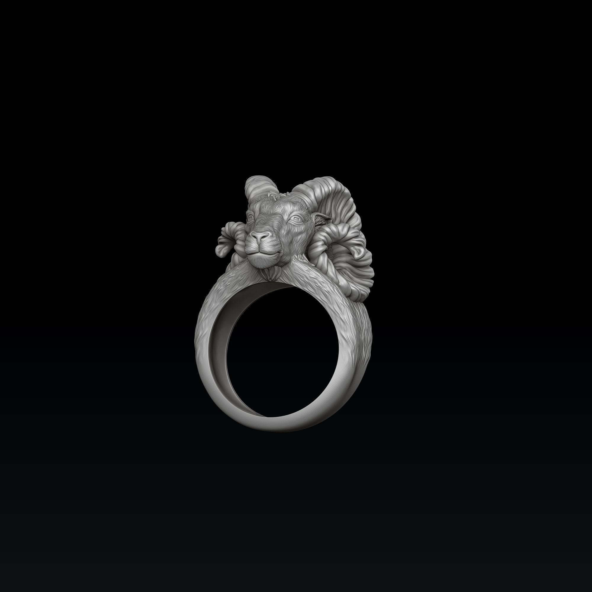 Aries Ring 3D print model_7