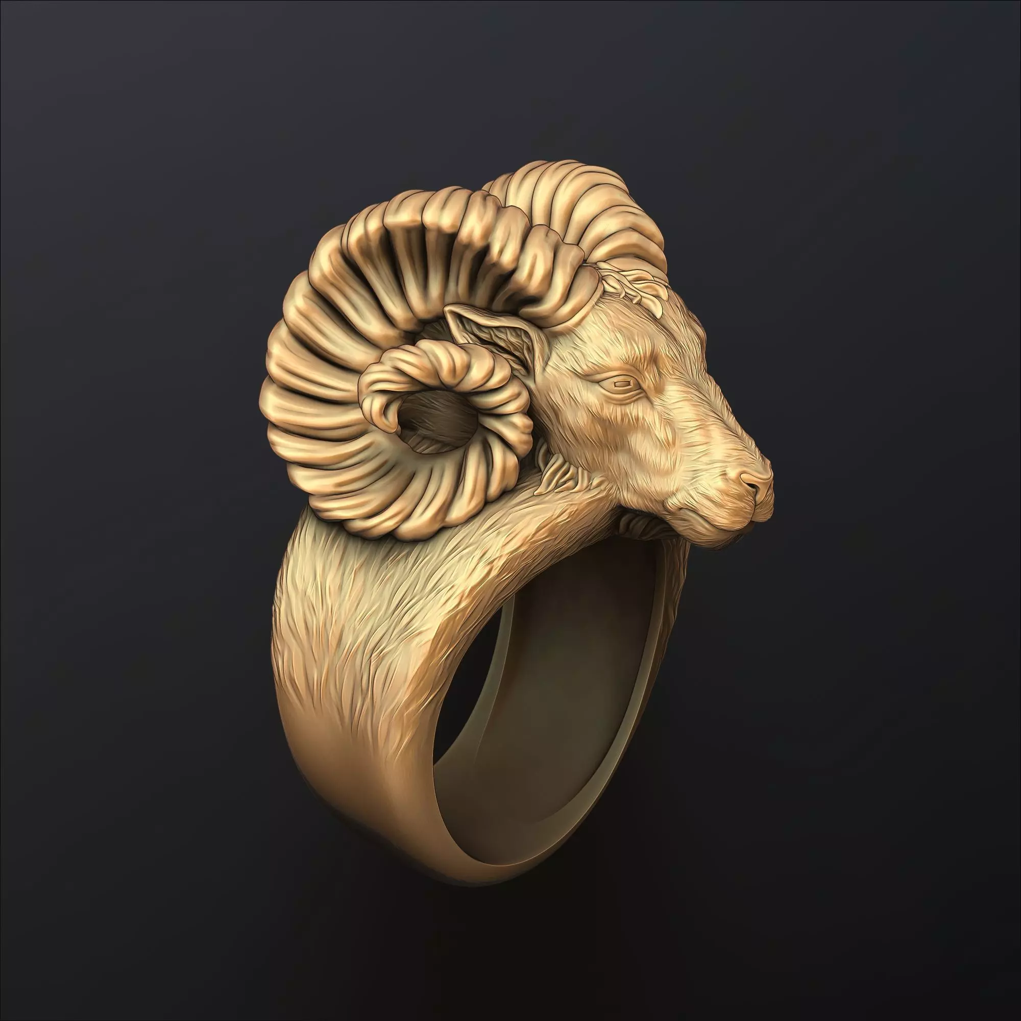 Aries Ring 3D print model_0