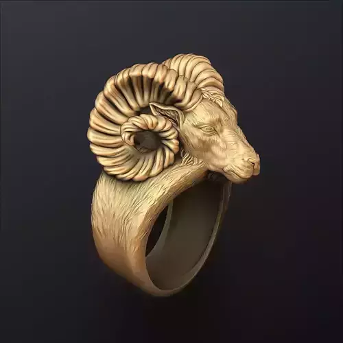 Aries Ring