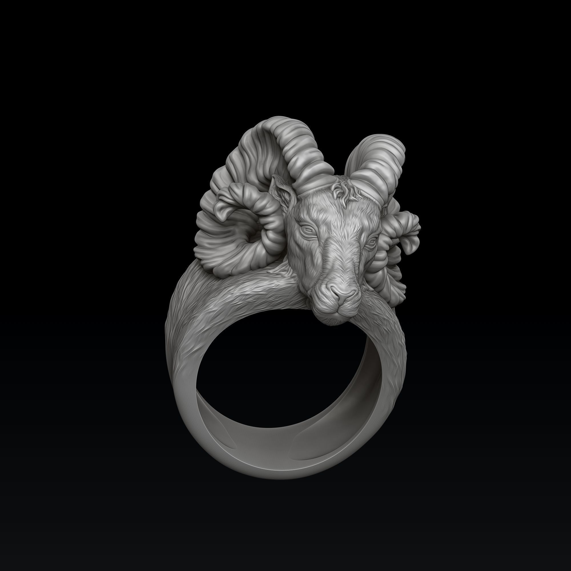 Aries Ring 3D print model_2