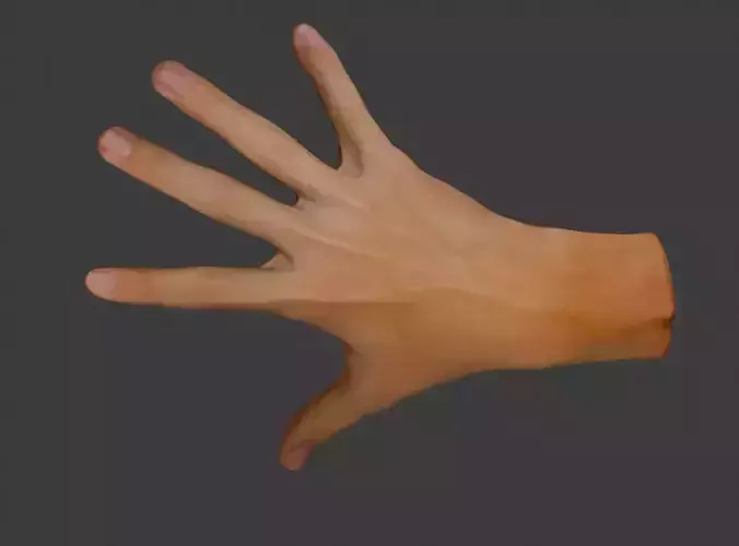 realistic hand