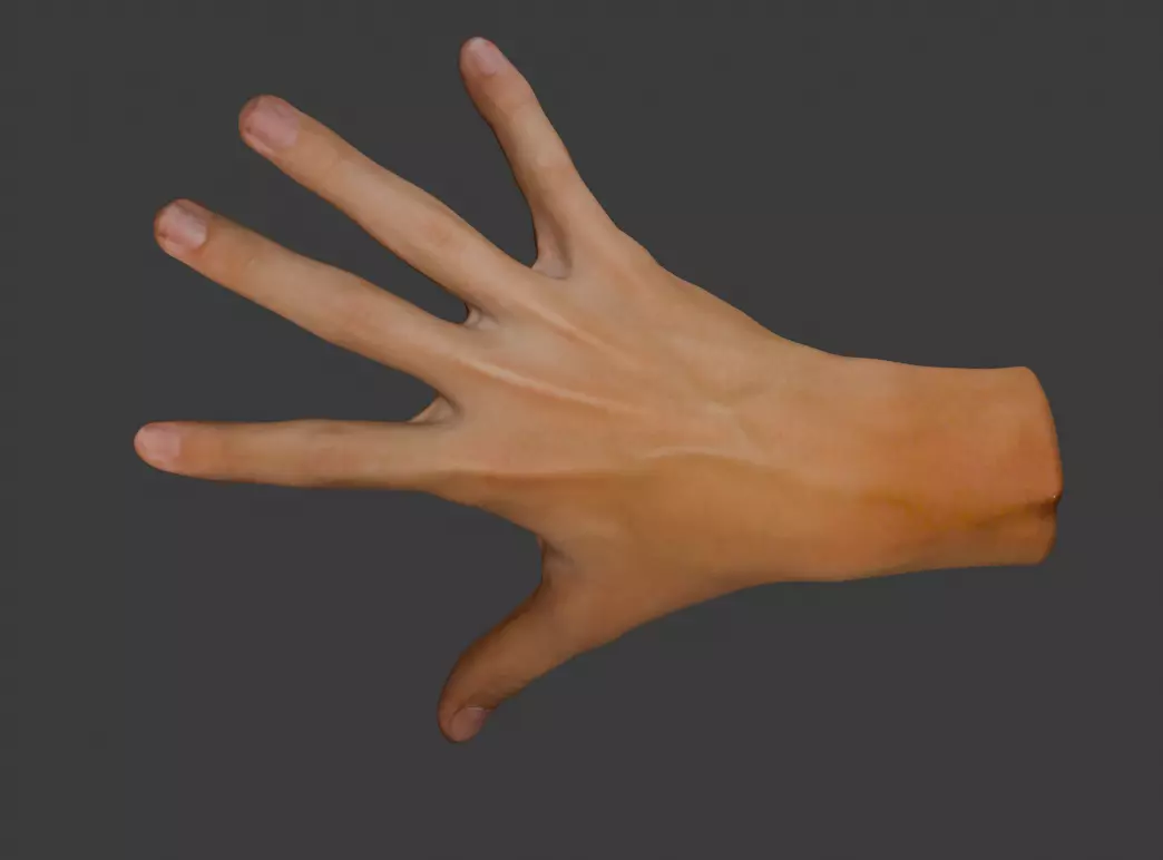 realistic hand 3D model_0