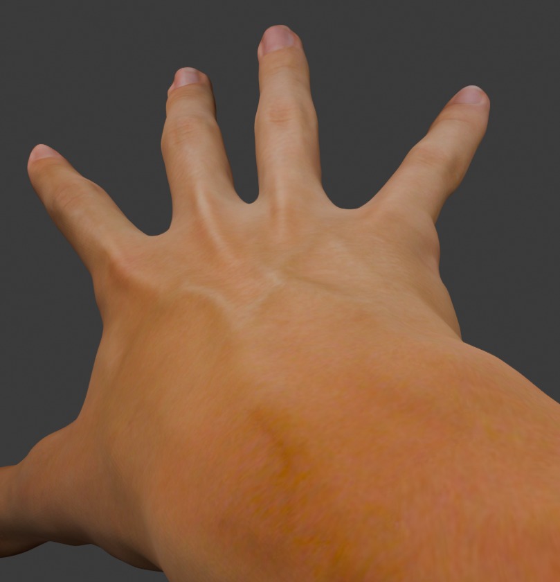 realistic hand 3D model_1