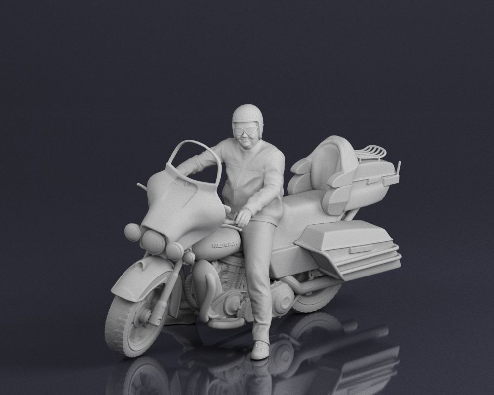 001546 Motorcyclist on a touring motorcycle 3D print model_18
