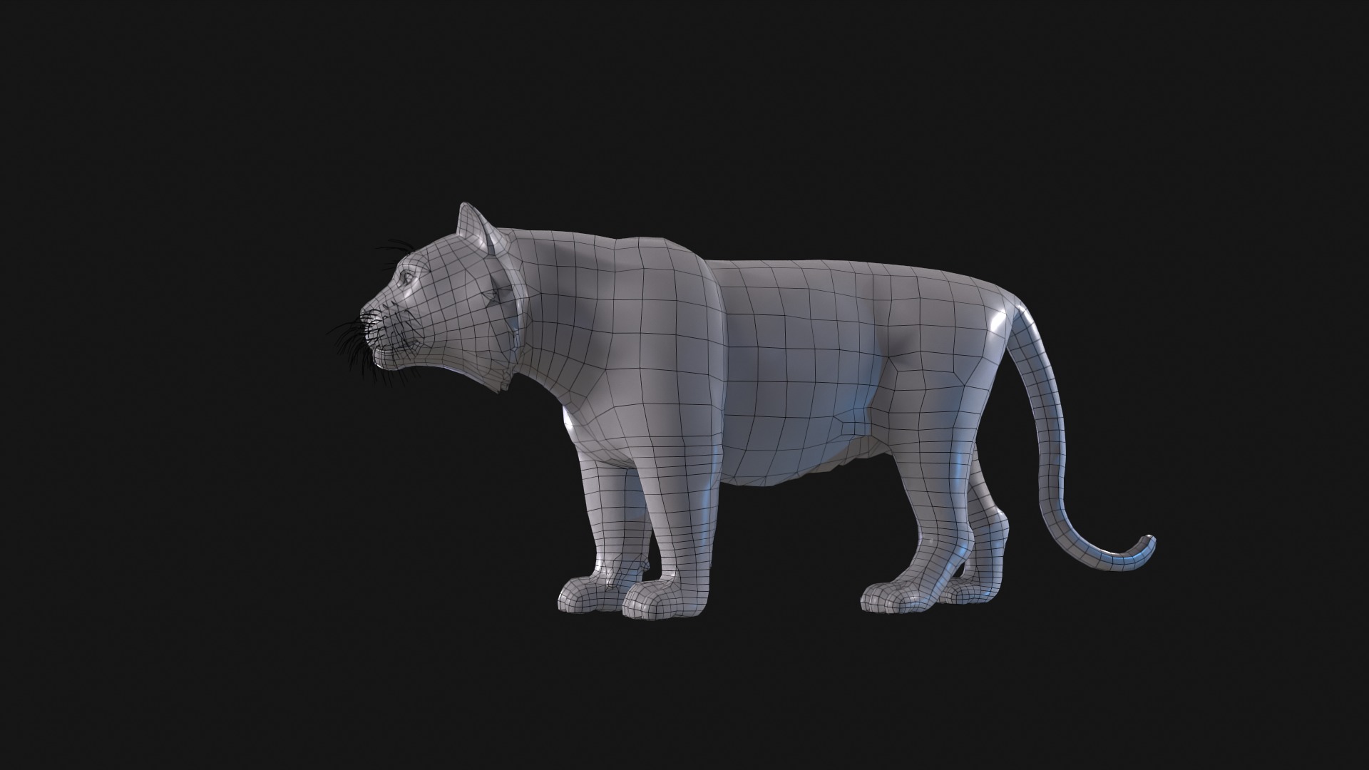 Realistic Tiger Rigged and Animated for VR AR Games Low-poly 3D model_13