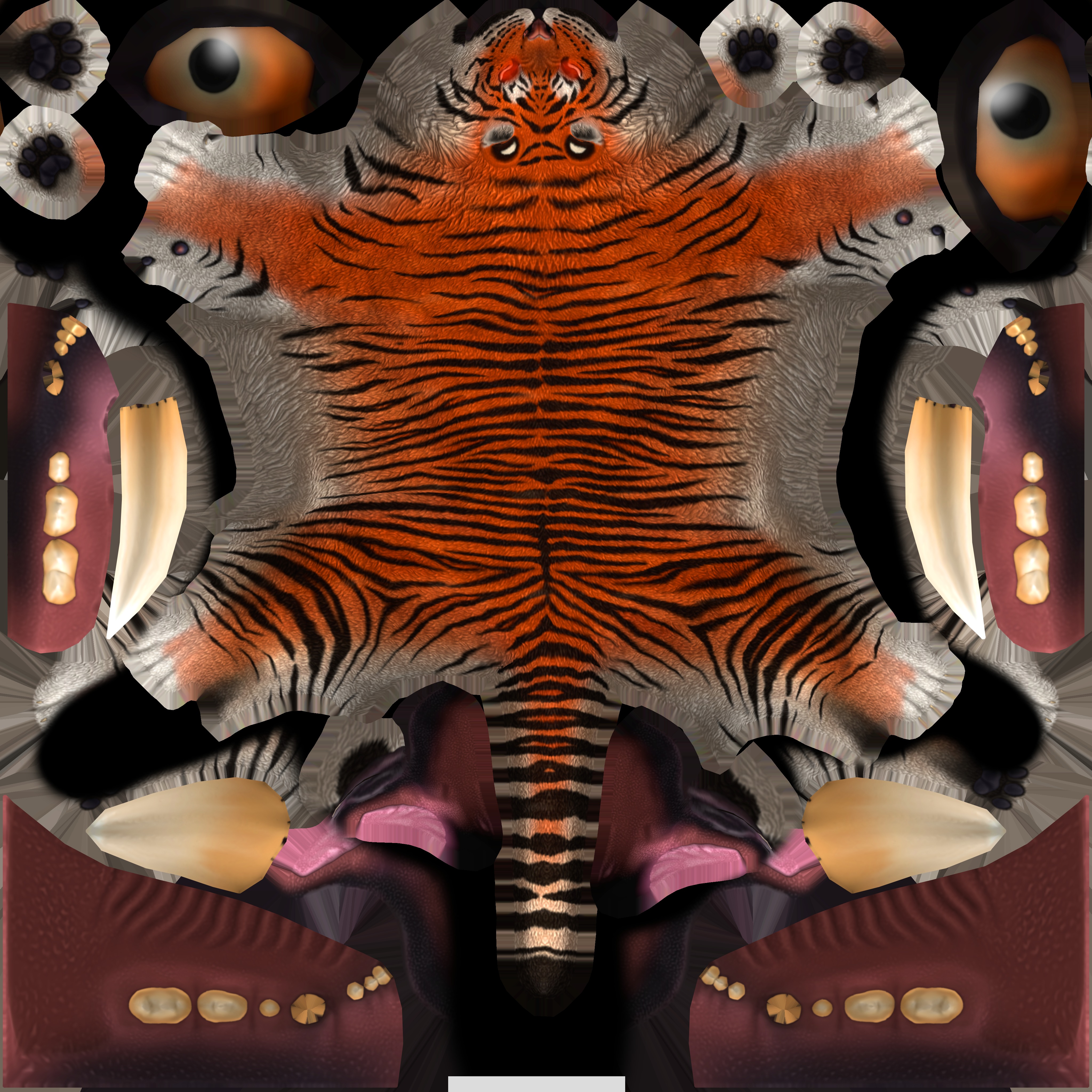 Realistic Tiger Rigged and Animated for VR AR Games Low-poly 3D model_14