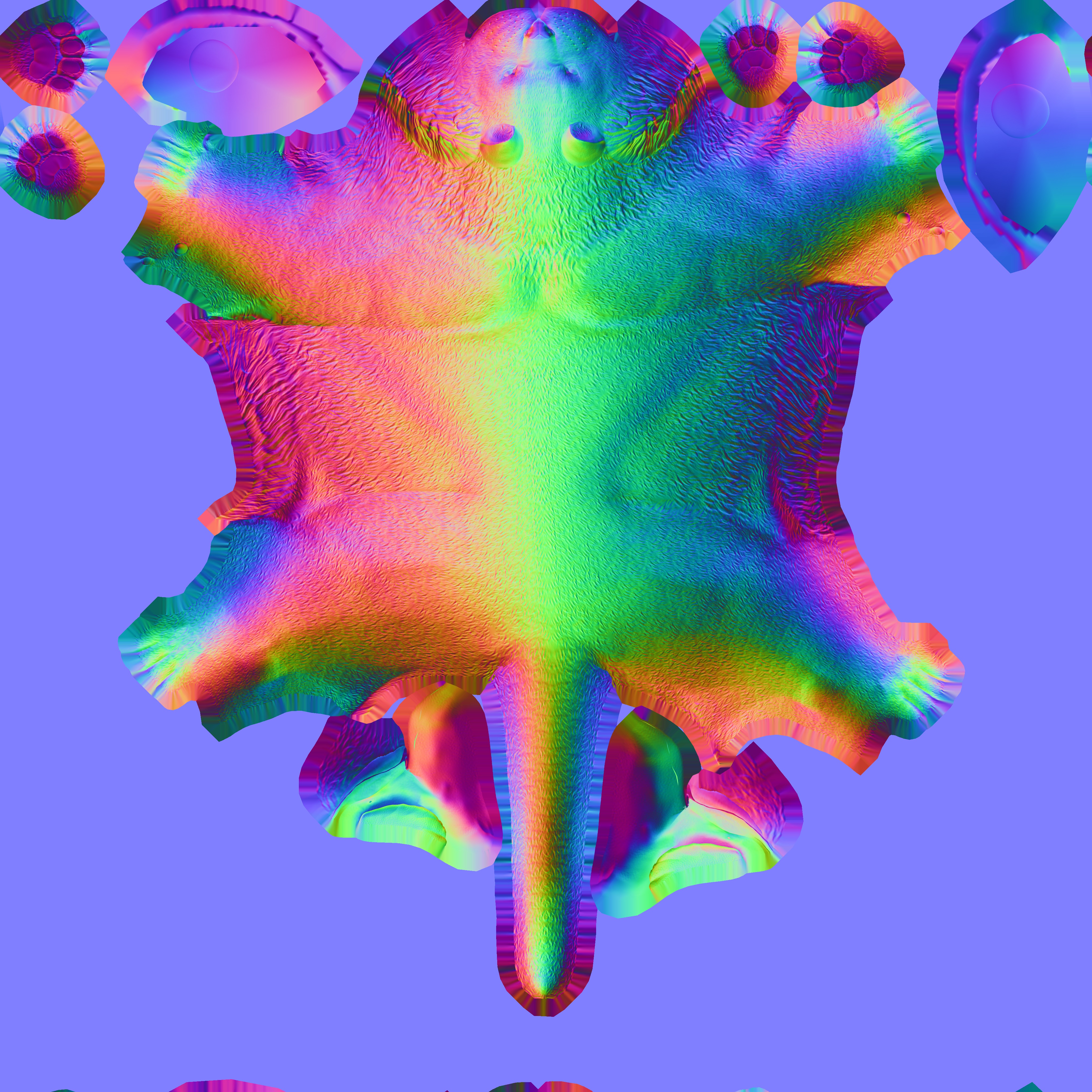 Realistic Tiger Rigged and Animated for VR AR Games Low-poly 3D model_16