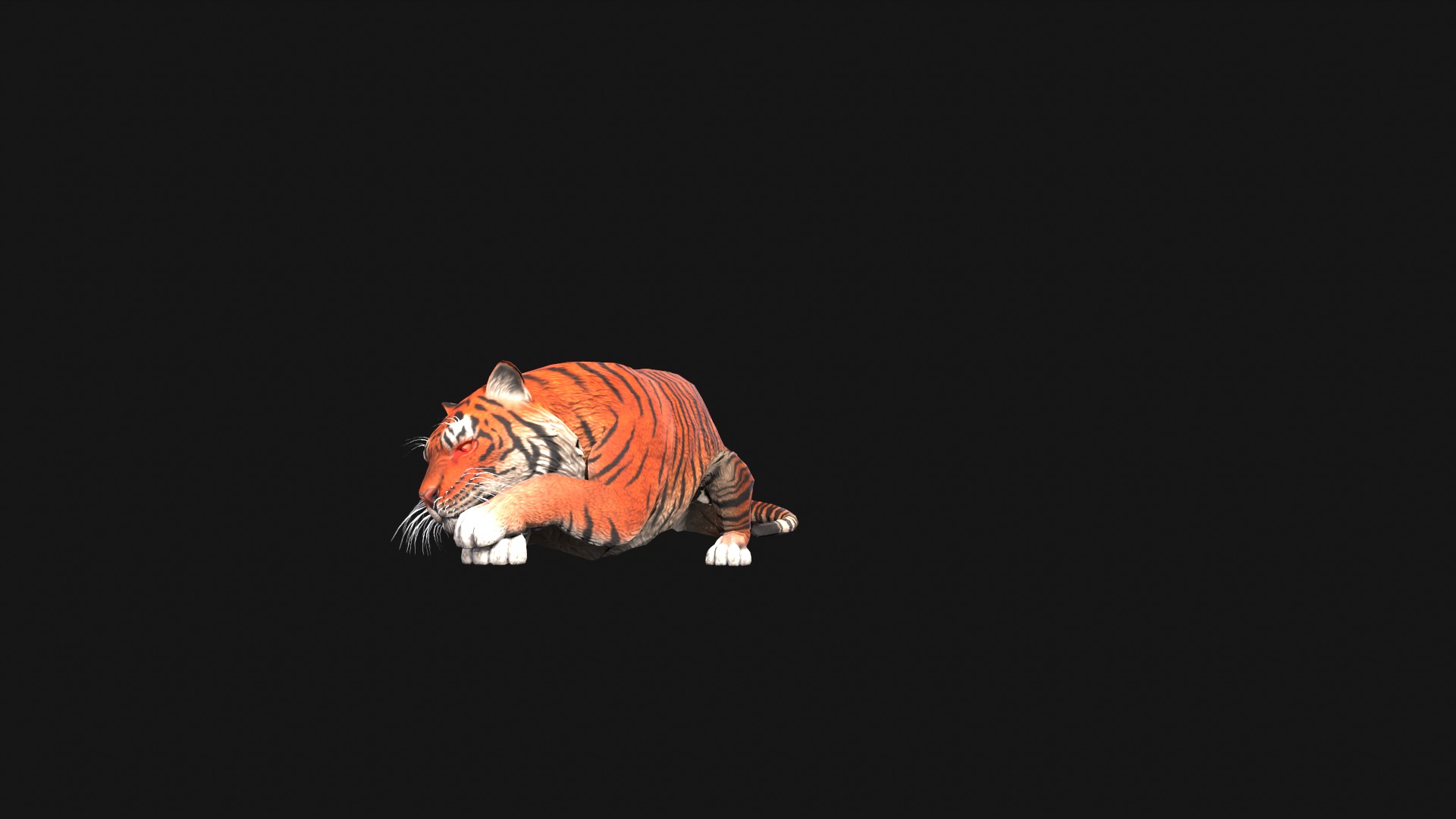 Realistic Tiger Rigged and Animated for VR AR Games Low-poly 3D model_4