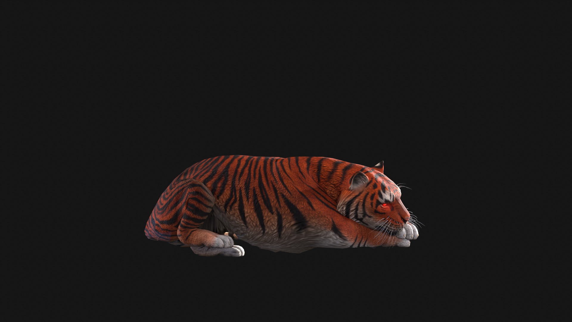 Realistic Tiger Rigged and Animated for VR AR Games Low-poly 3D model_11