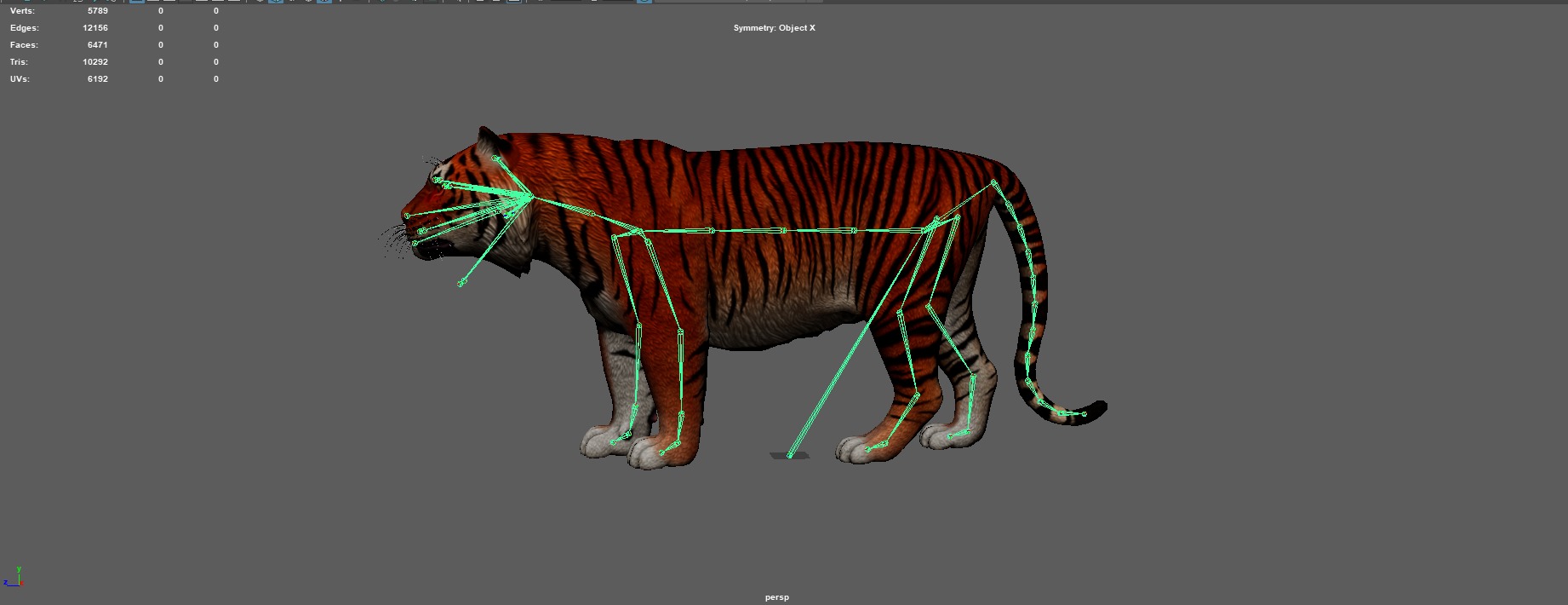 Realistic Tiger Rigged and Animated for VR AR Games Low-poly 3D model_7