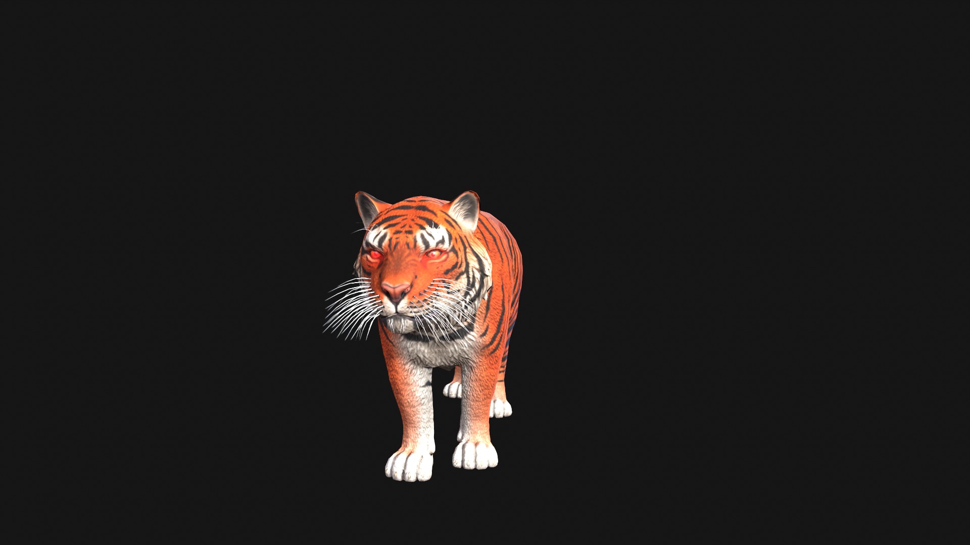 Realistic Tiger Rigged and Animated for VR AR Games Low-poly 3D model_2