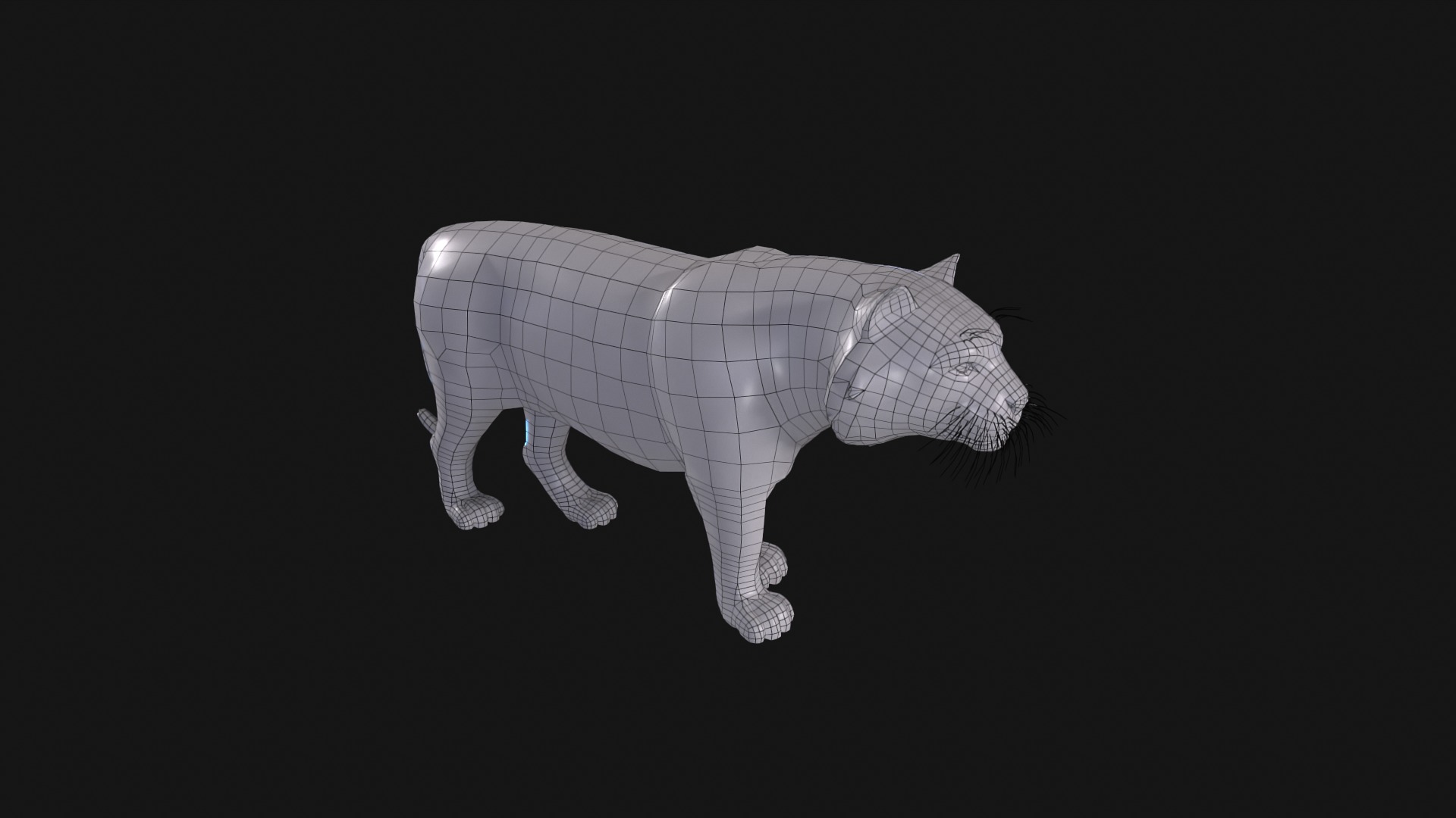 Realistic Tiger Rigged and Animated for VR AR Games Low-poly 3D model_12