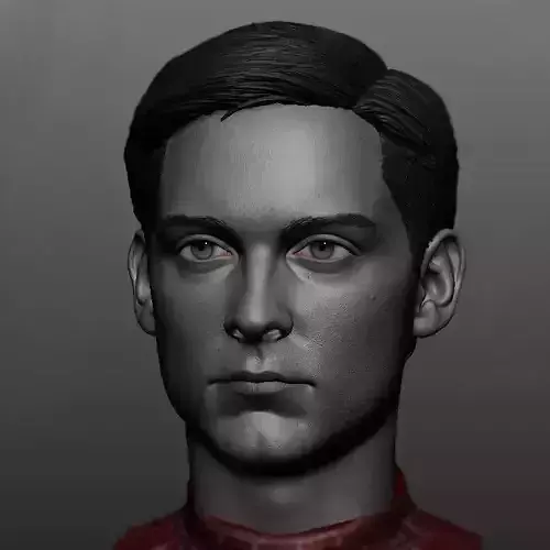 Tobey Maguire Likeness 3D print model