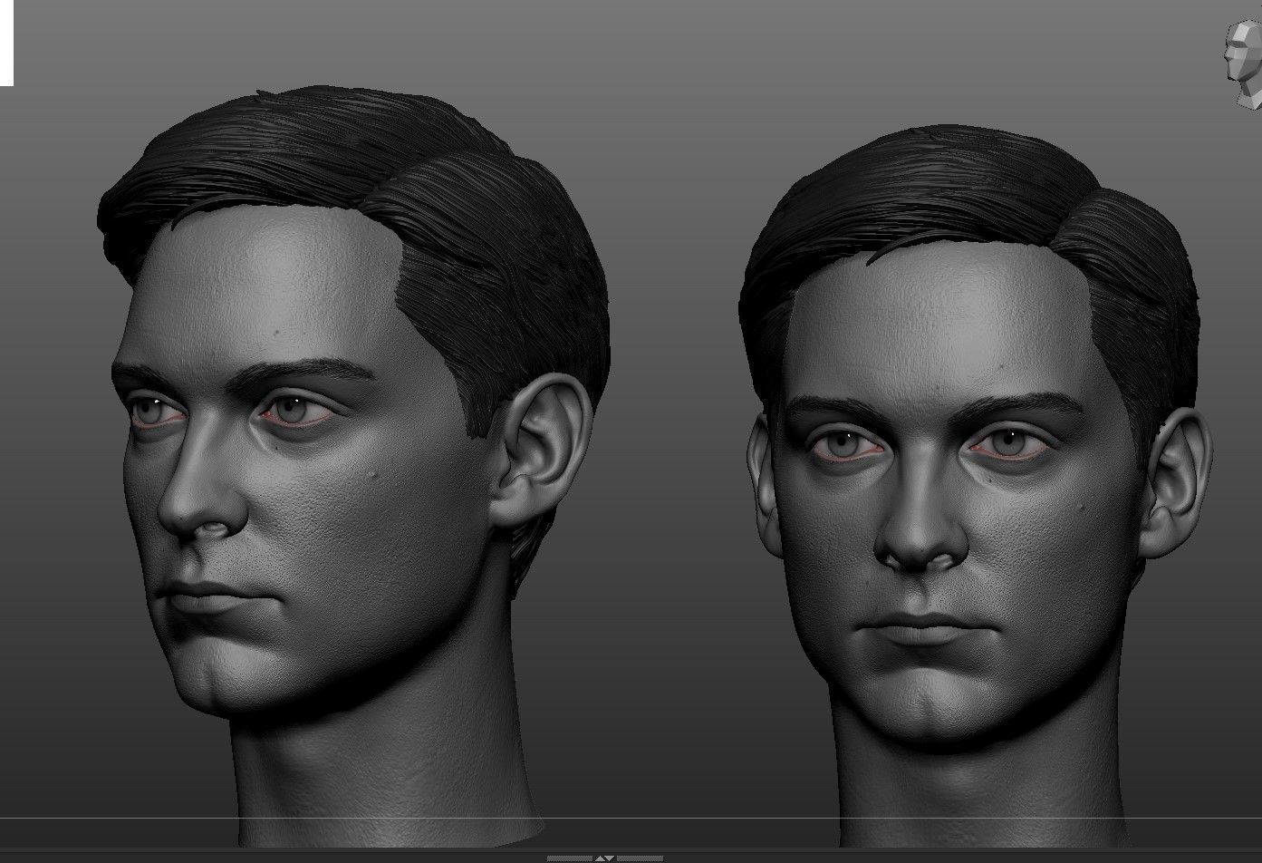 Tobey Maguire Likeness 3D print model_4