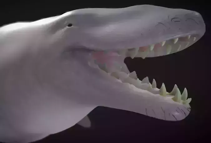 Basilosaurus  Low-poly 3D model