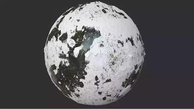 Snow Covered Swamp Forest Ground Pbr 4k Textures