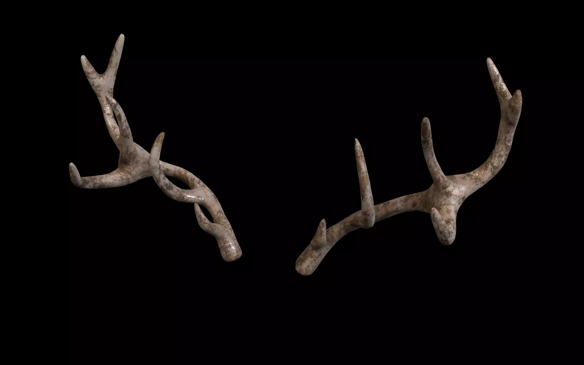 antlers horns 02 3D model