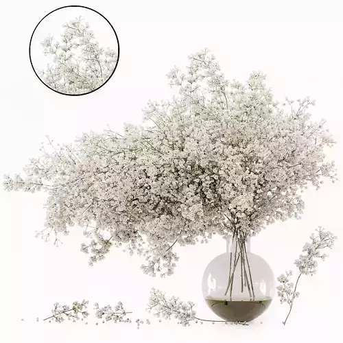 Bouquet Indoor Plants 22