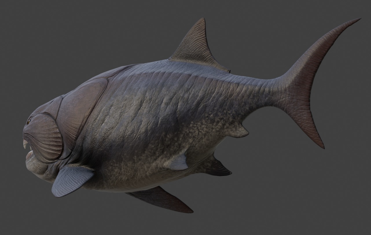 Dunkleosteus Asset Pack Low-poly 3D model_13