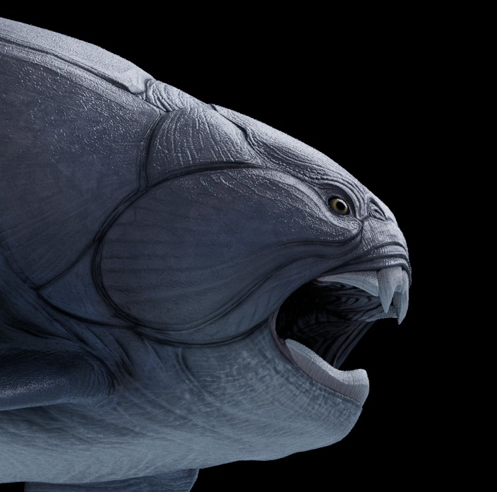 Dunkleosteus Asset Pack Low-poly 3D model_8