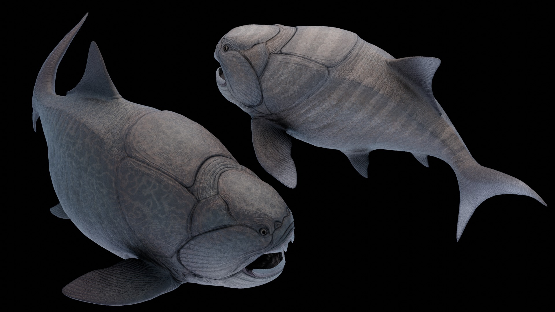 Dunkleosteus Asset Pack Low-poly 3D model_7