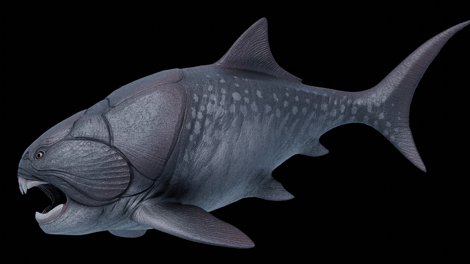 Dunkleosteus Asset Pack Low-poly 3D model_2
