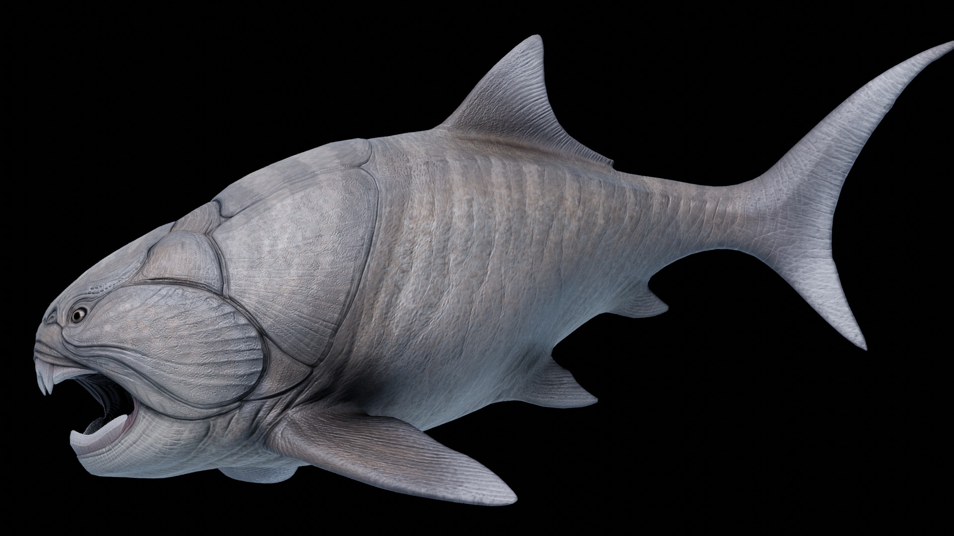 Dunkleosteus Asset Pack Low-poly 3D model_3