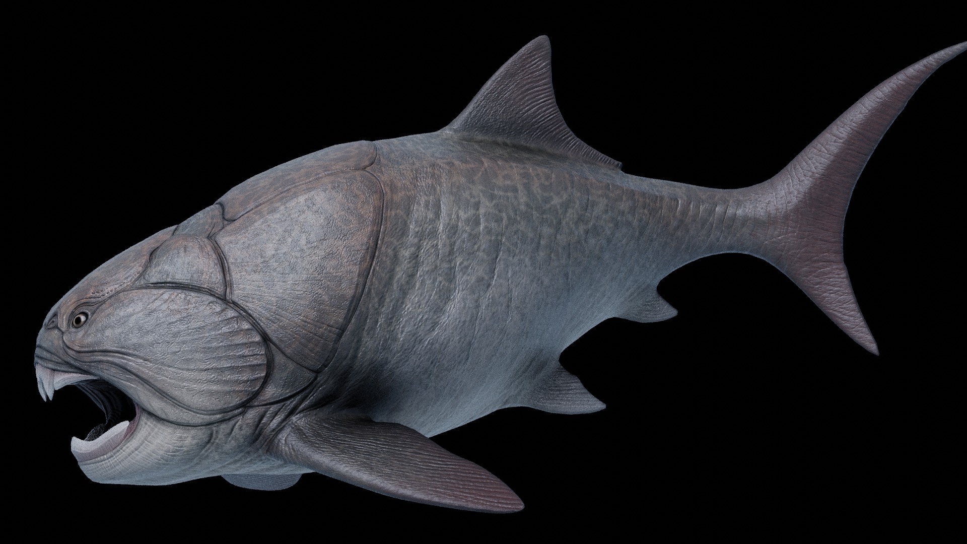 Dunkleosteus Asset Pack Low-poly 3D model_6