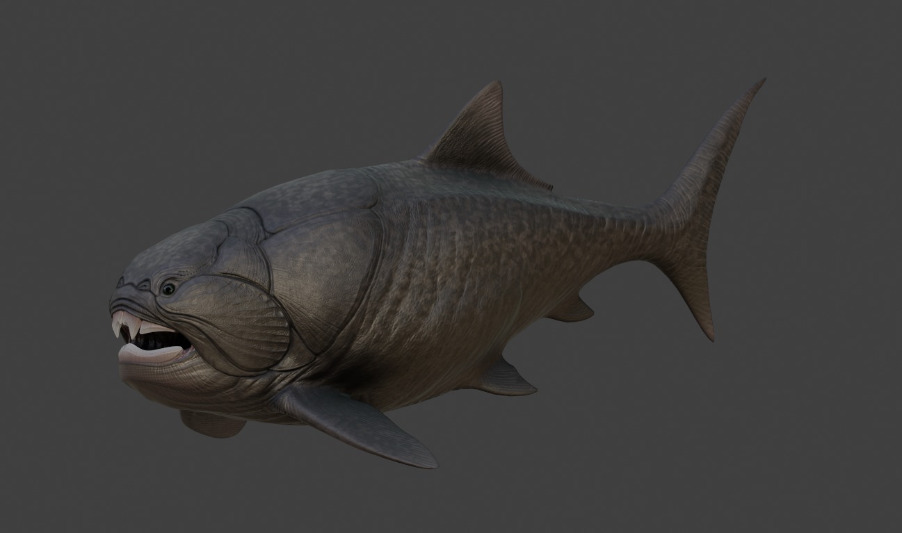 Dunkleosteus Asset Pack Low-poly 3D model_12