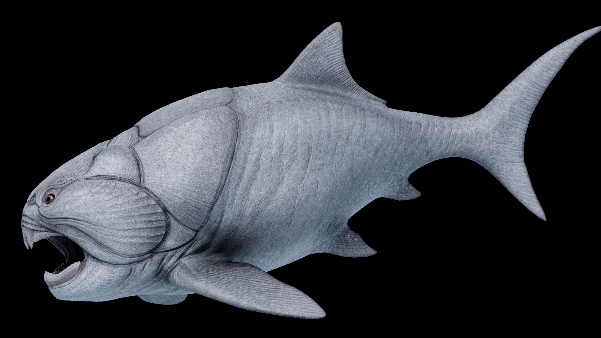 Dunkleosteus Asset Pack Low-poly 3D model_4