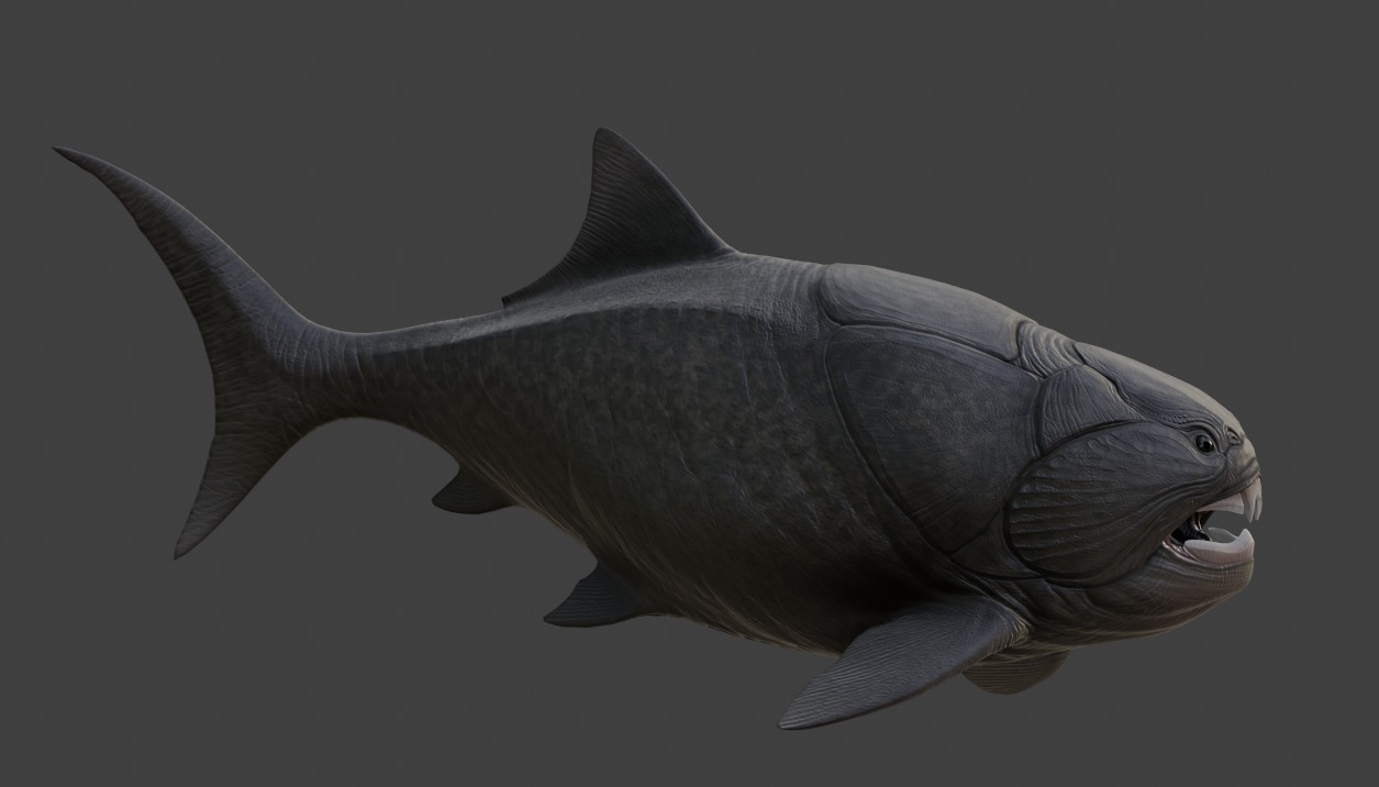 Dunkleosteus Asset Pack Low-poly 3D model_10