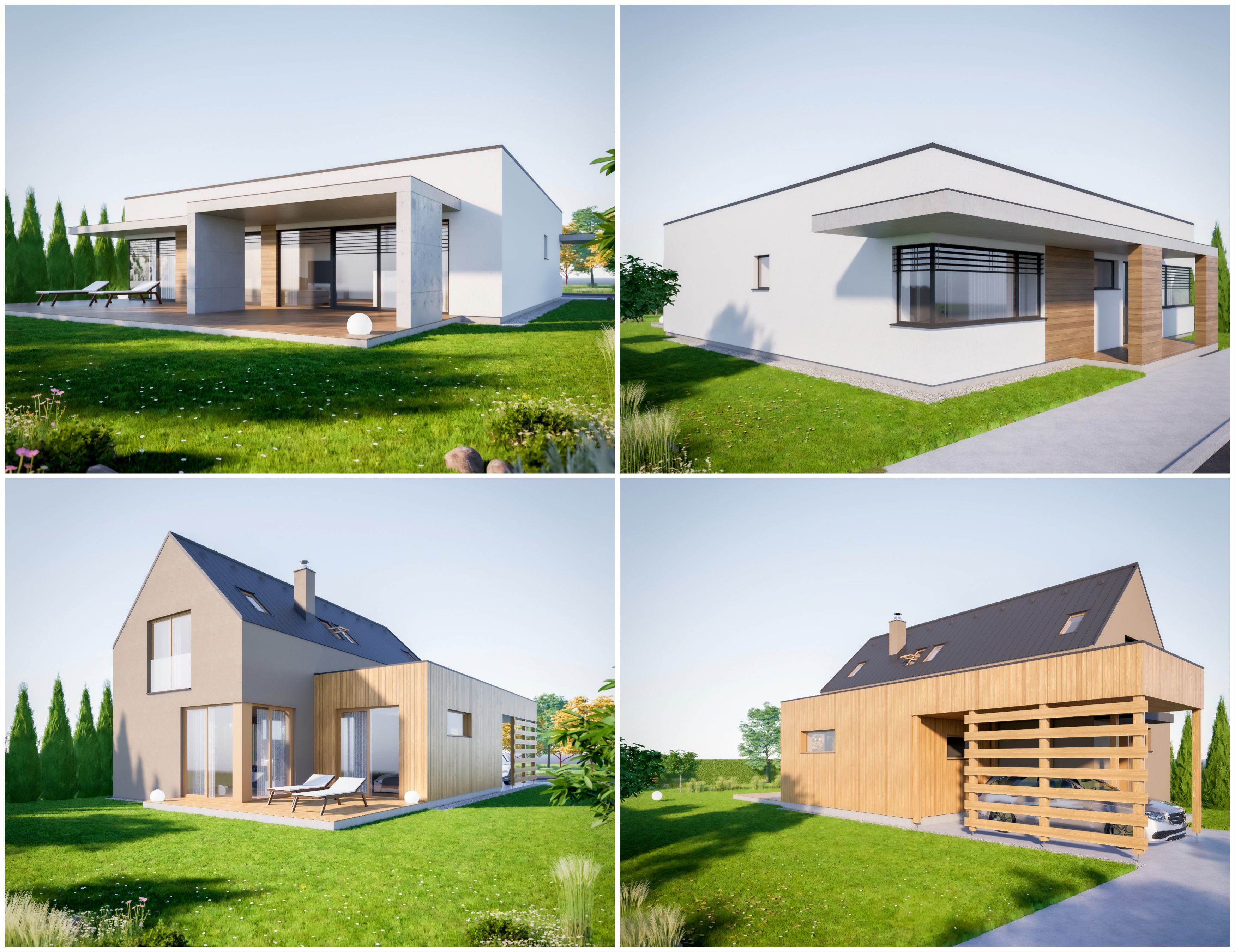 House Pack of 30 - created with Revit Family  Low-poly 3D model_23