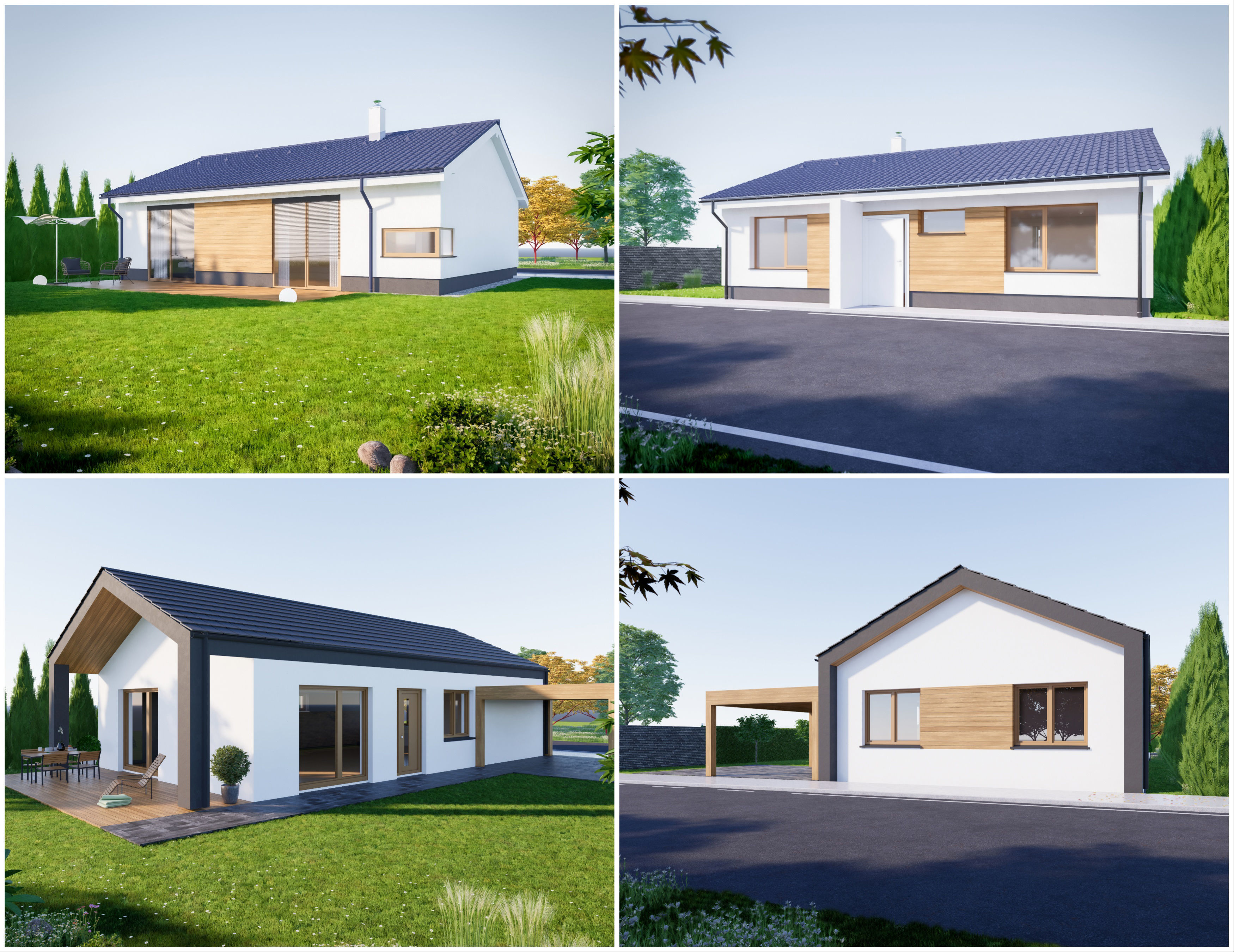 House Pack of 30 - created with Revit Family  Low-poly 3D model_28