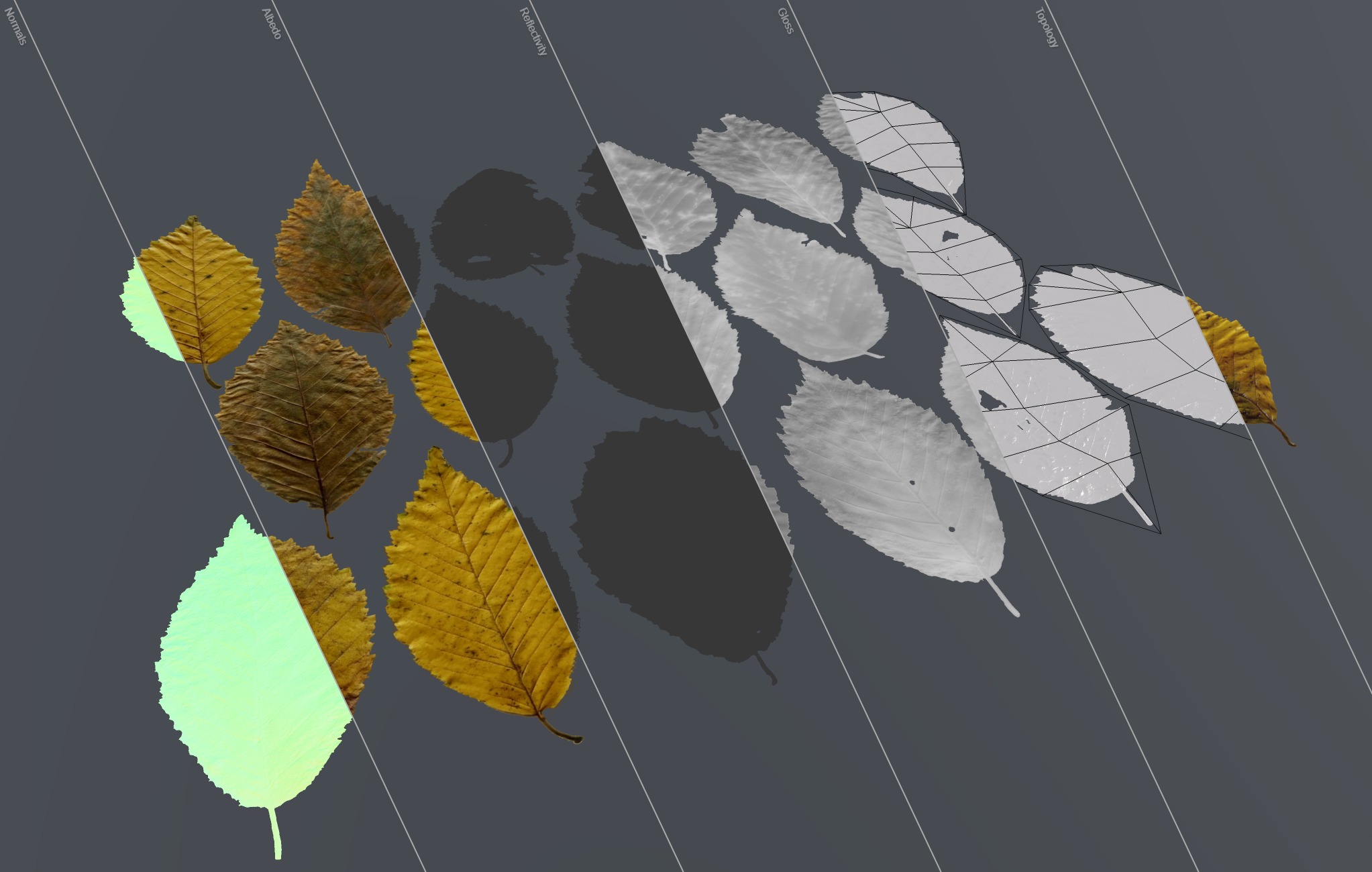 Fall Autumn Alder Leaves Leaf Low-poly 3D model_11