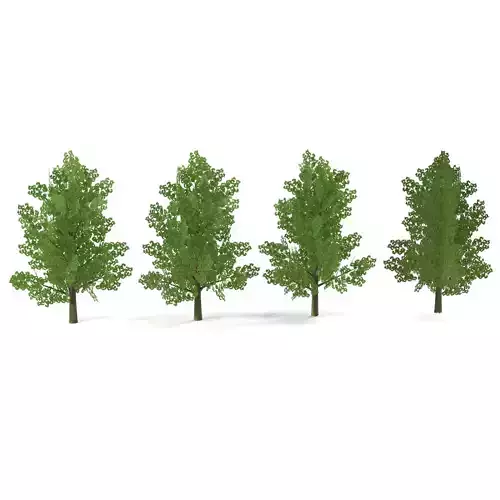 Maple Low Poly Low-poly 3D model