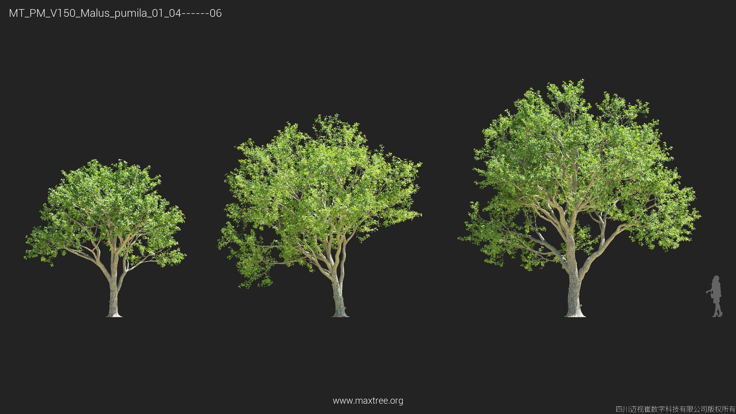 Maxtree Plant Models Vol 150 - Mesh 3D model_14